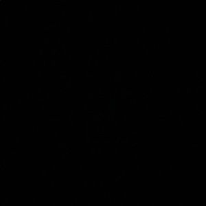 Meet your Posher, Emmett